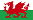 Wales flag